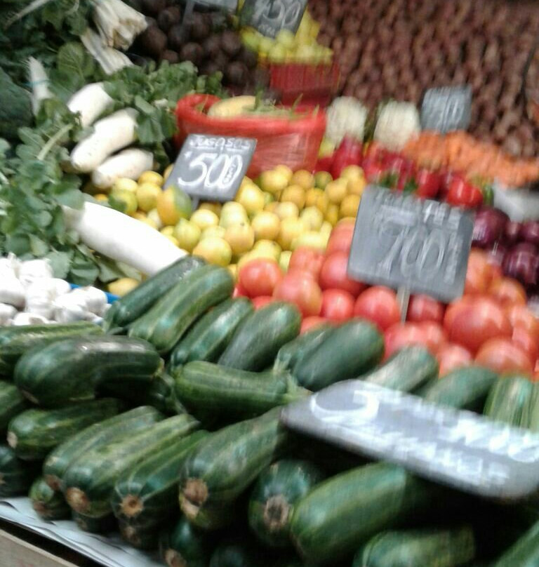 Open Plaza Ovalle-Ovalle必去景点