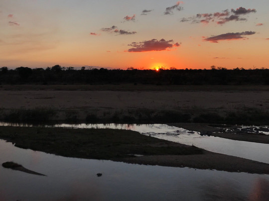 Vula Safaris-尼斯普鲁特必去景点