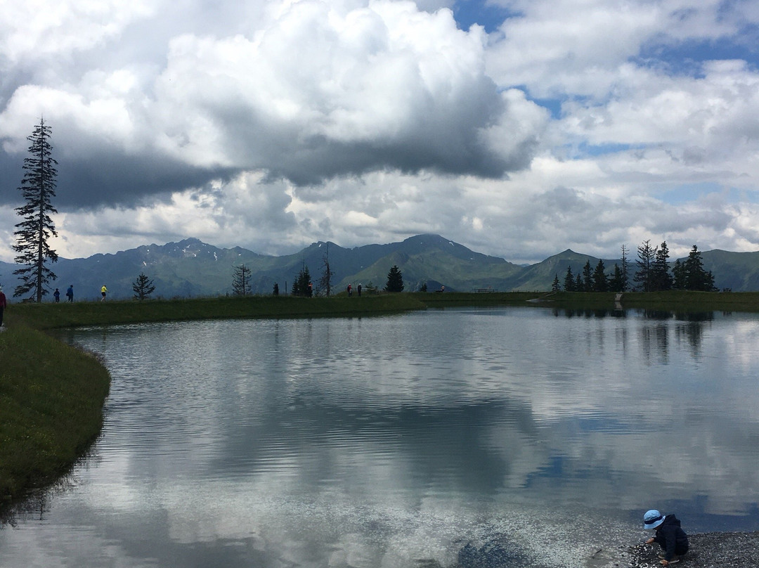 Barfussweg am Spiegelsee Fulseck景点图片