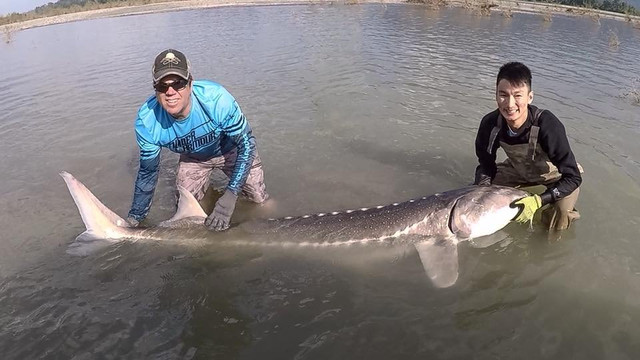 Prestige Sportfishing-Harrison Mills必去景点