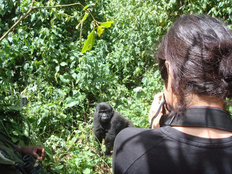 Frena Adventures-吉佳利必去景点