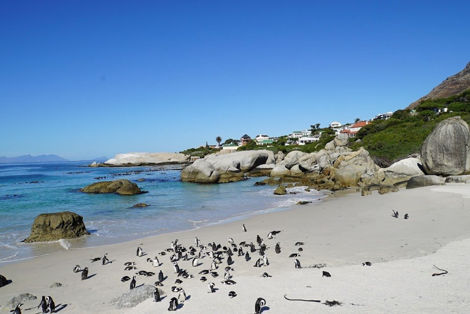 Cape Hills Tours and Transfers-开普敦必去景点