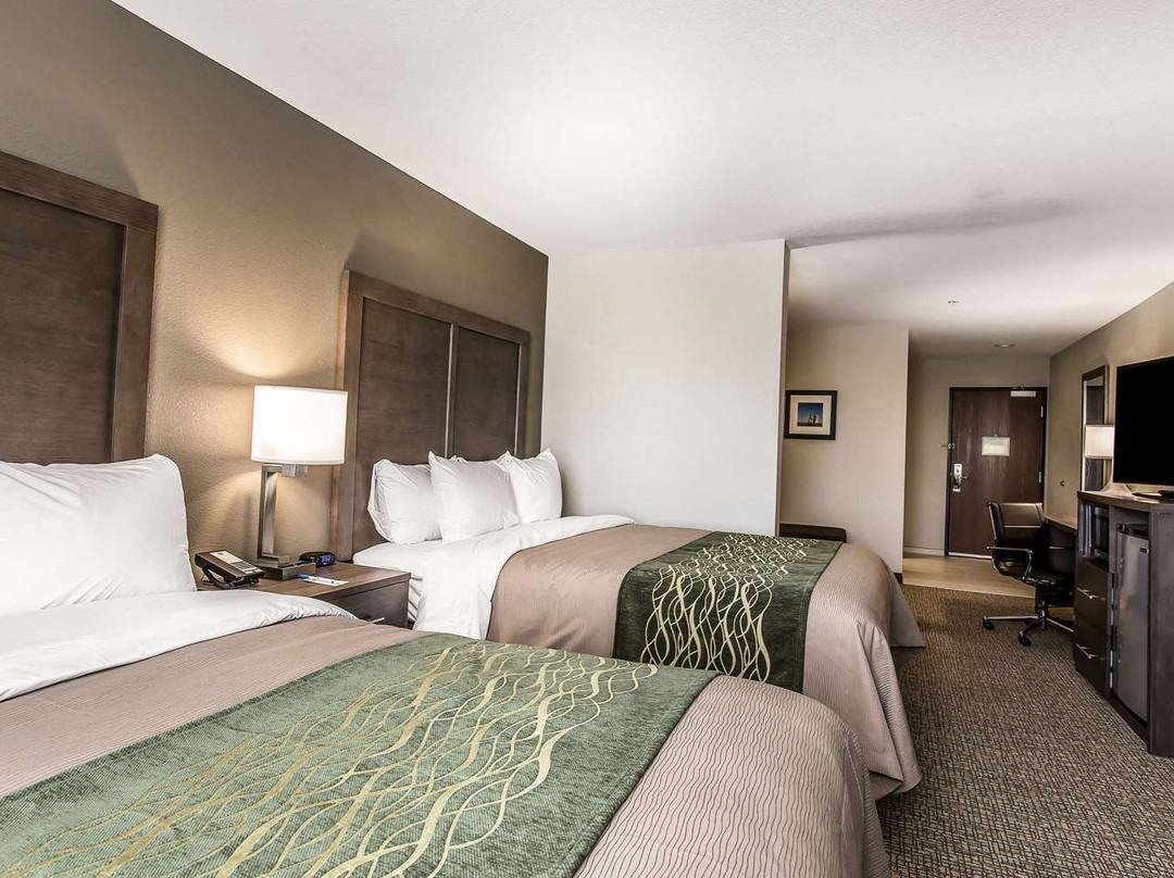 Comfort Inn & Suites主图