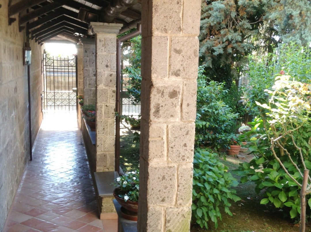 La Contessa Siffridina