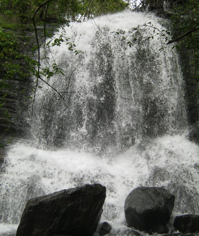 Pattathipara Waterfall景点图片