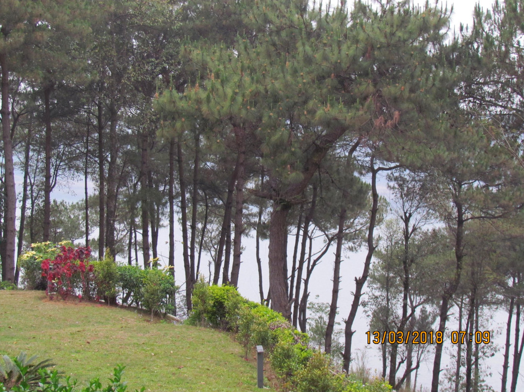 Orchid Lake Resort主图