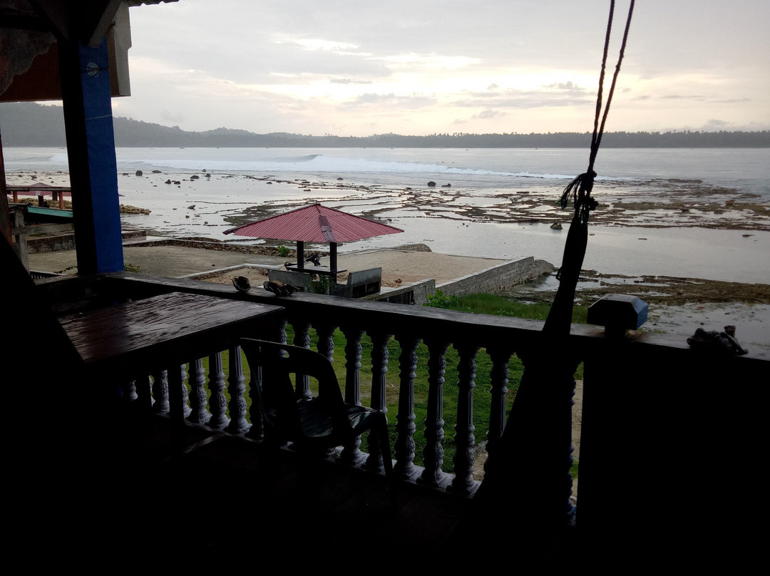 Pleasure Surf Camp主图