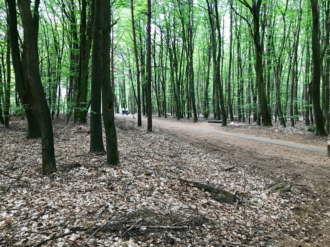 Nijverdal旅游攻略图片