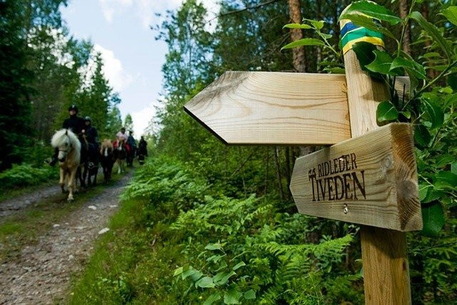 Trailriding in Tiveden-Tived必去景点