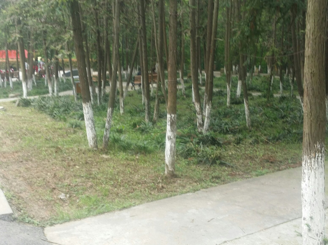 天生桥-溧水县必去景点