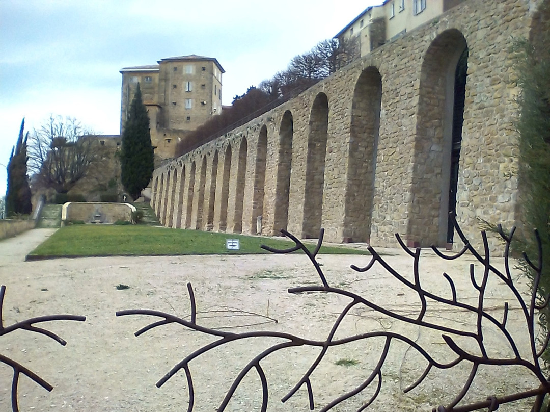 Jardin des Plantes Tinctoriales景点图片
