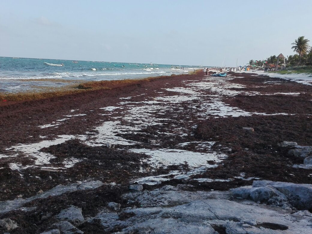 Mayan Beach景点图片