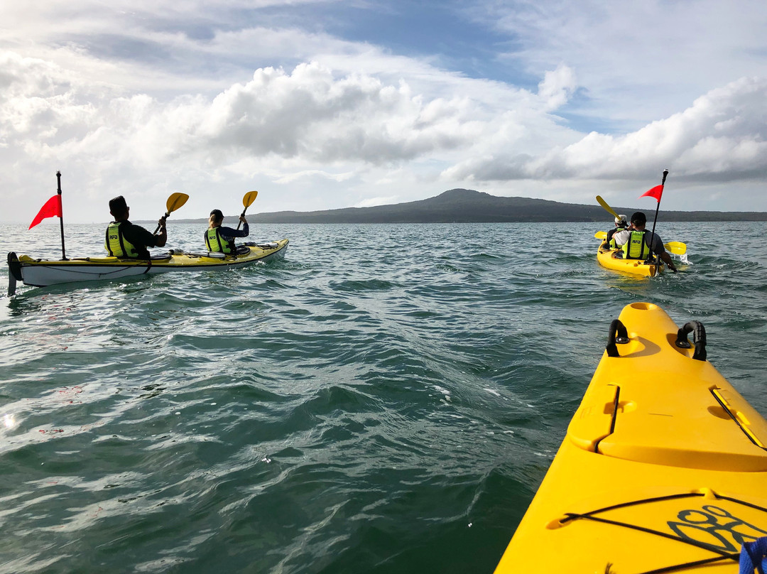 Auckland Sea Kayaks景点图片