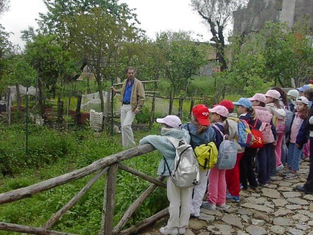 Campeggio La Primula