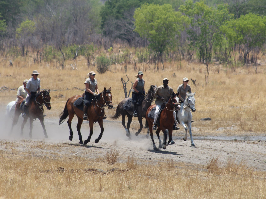 Hwange Horseback Safaris景点图片