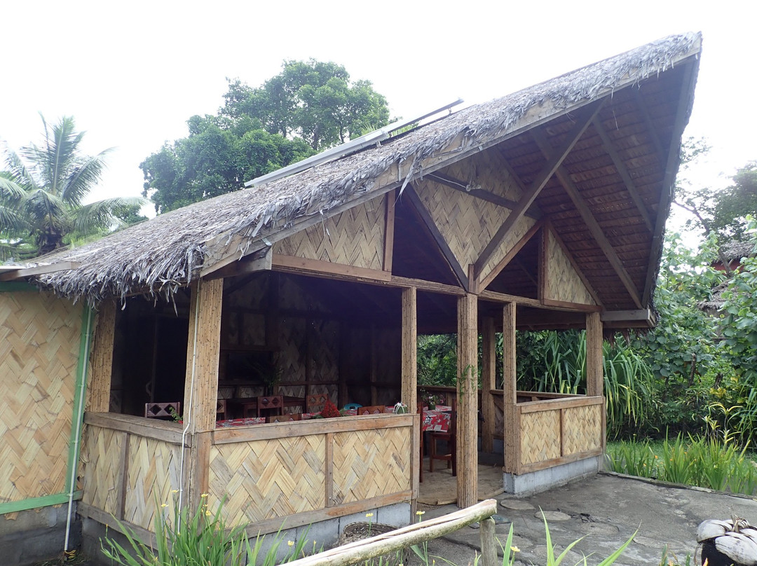 Yasur View Lodge