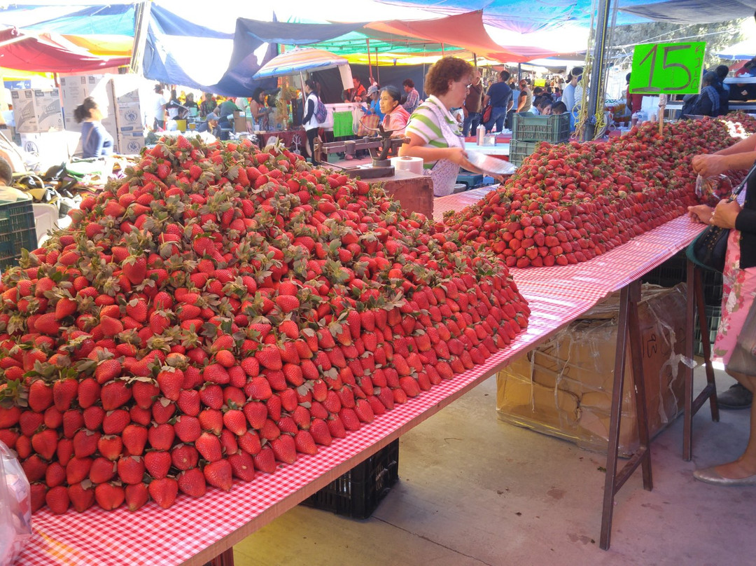 Tianguis De Los Martes-圣米格尔护城必去景点
