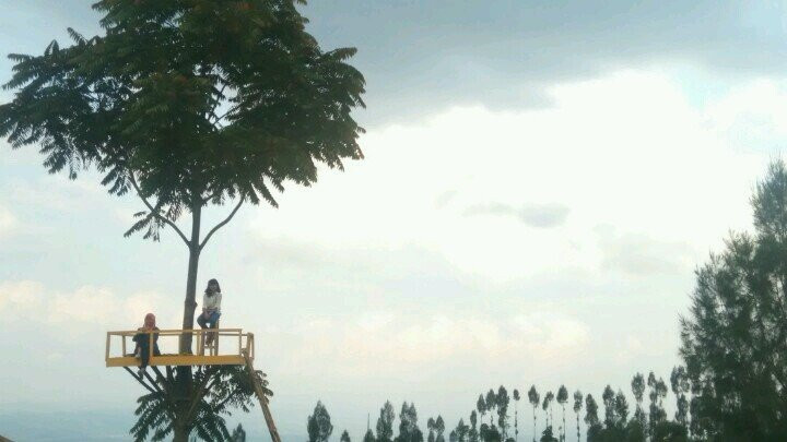 Temanggung旅游攻略图片