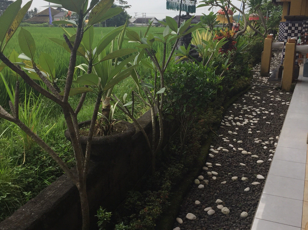 Bali Charm - Day Tours-南湾必去景点