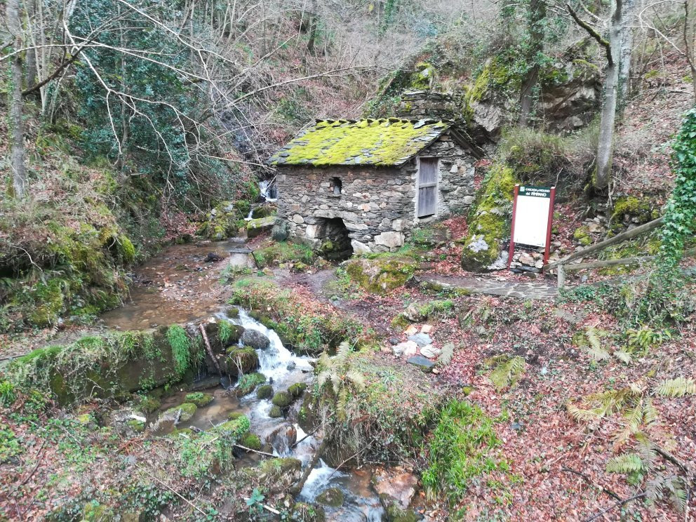 Cueva del Pimpano景点图片