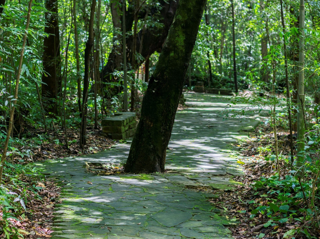 Bosque dos Alemães景点图片