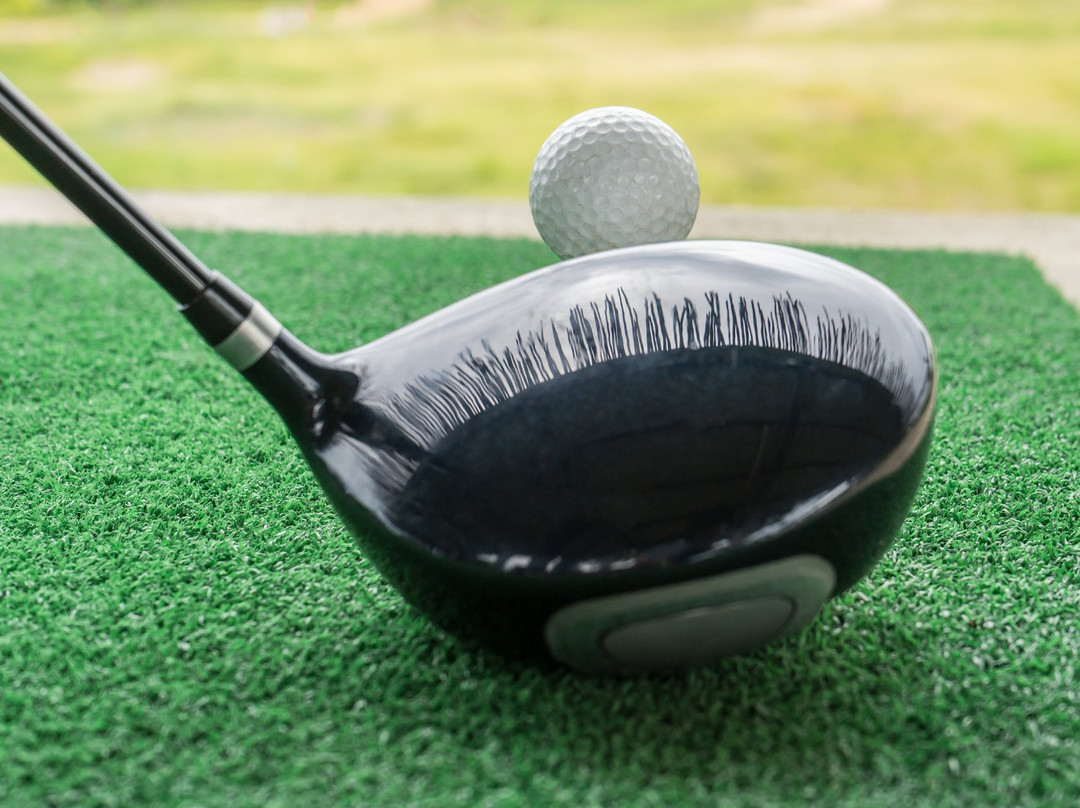 Laurel Golf Center景点图片