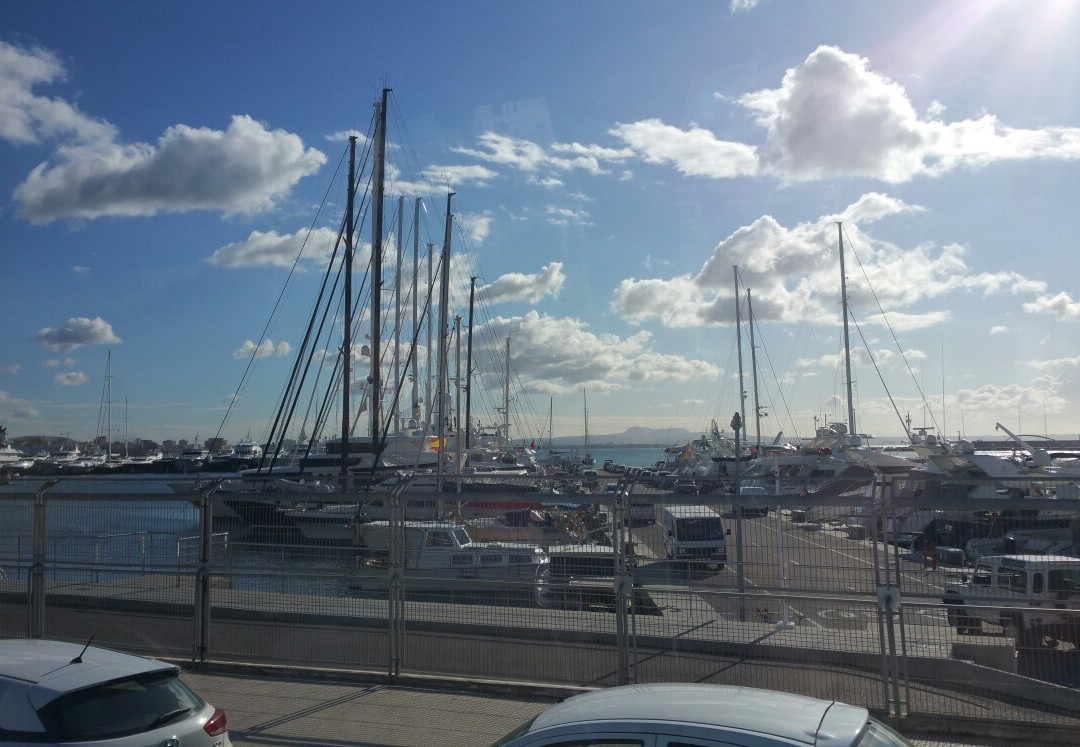 Palma Di Maiorca-San Giorgio a Liri必去景点