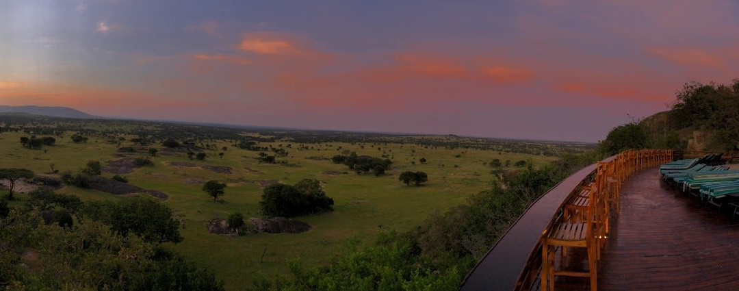 路宝野生动物山林小屋主图