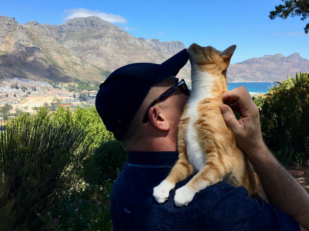 蒙特贝罗别墅主图