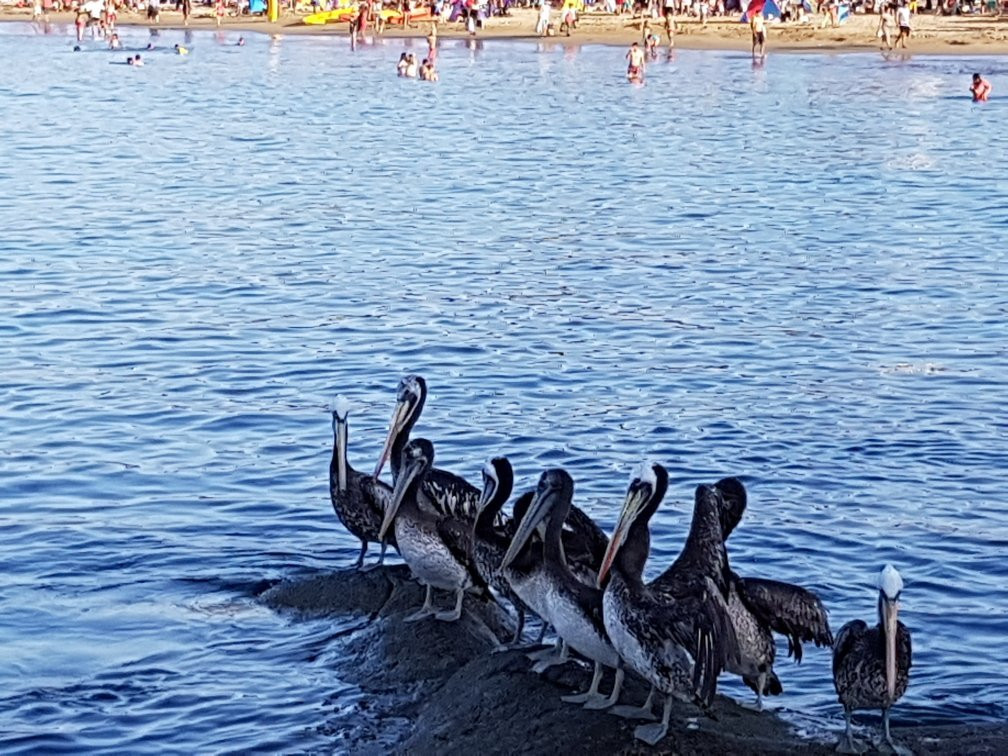 Playa Guanaqueros-Guanaqueros必去景点