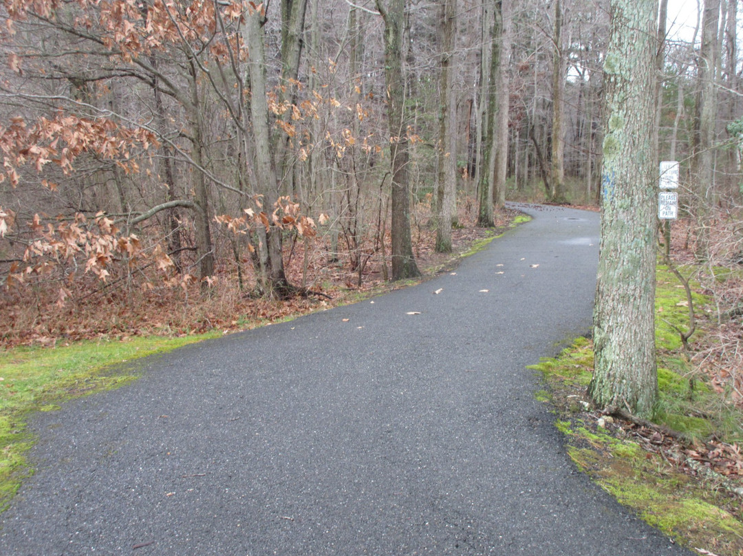 Kent Island South Trail景点图片