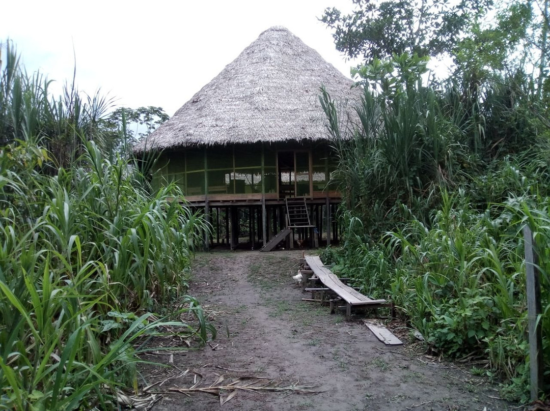 Iguana Lodge Perú