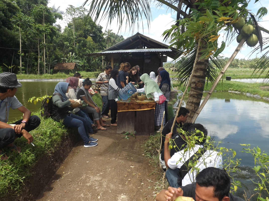 Lombok Rise - Day Tours-Senggigi必去景点