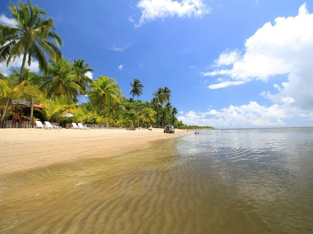 Barra do Serinhaem Beach-Itubera必去景点