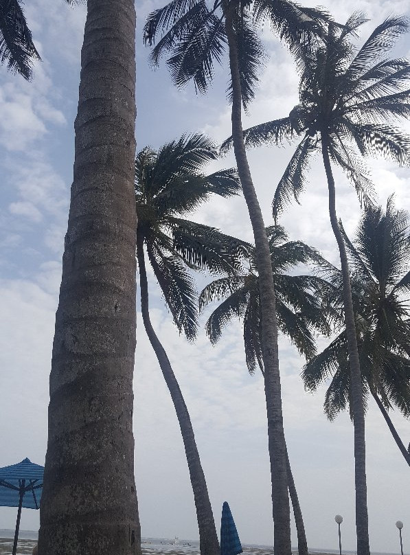 肯尼亚湾海滩酒店主图