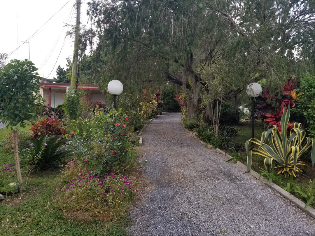 Los Palacios酒店住宿-Casa Los Sauces Jorge y Ana Lidia