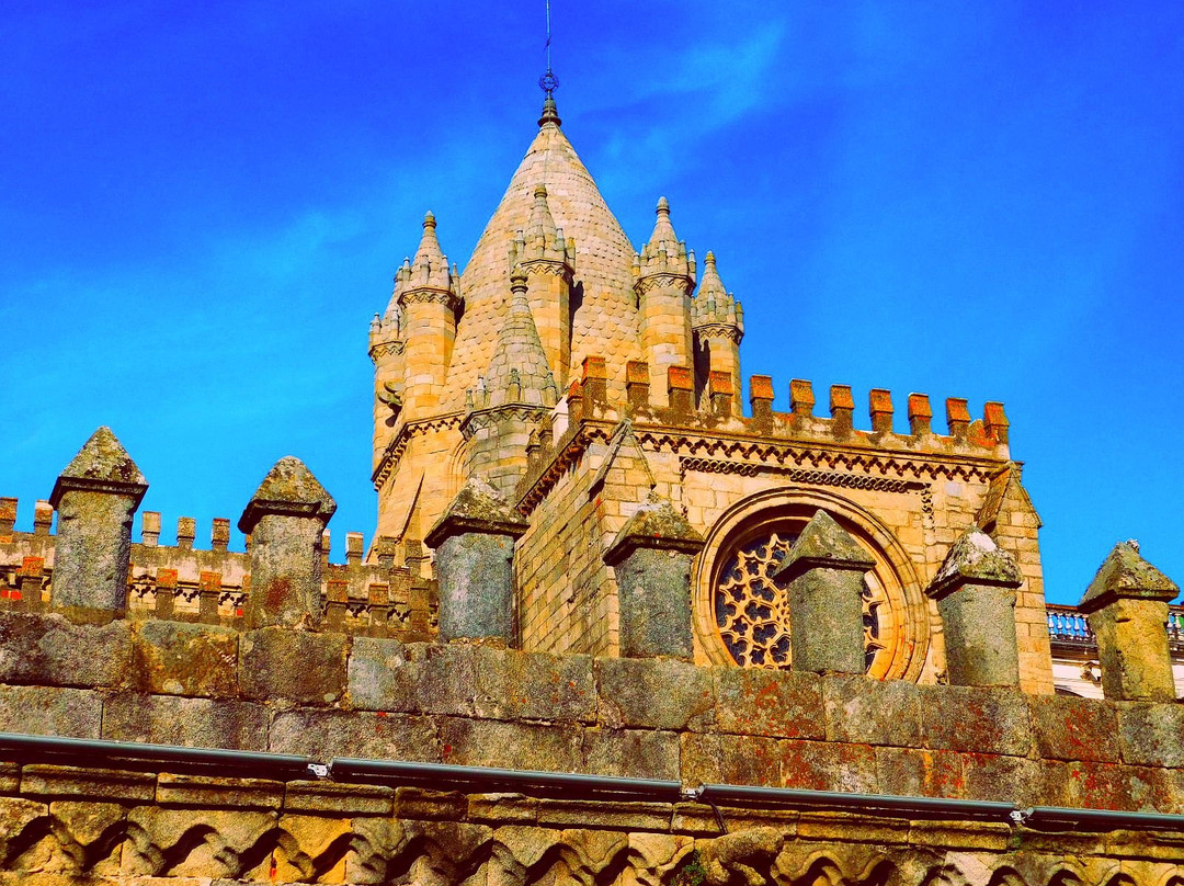 Evora Olive Hotel主图