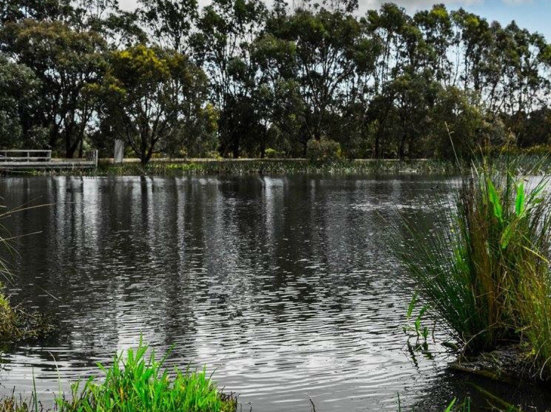 Heyfield旅游攻略图片