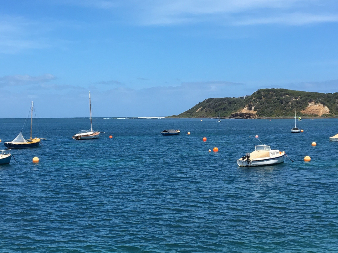 Flinders Beach景点图片