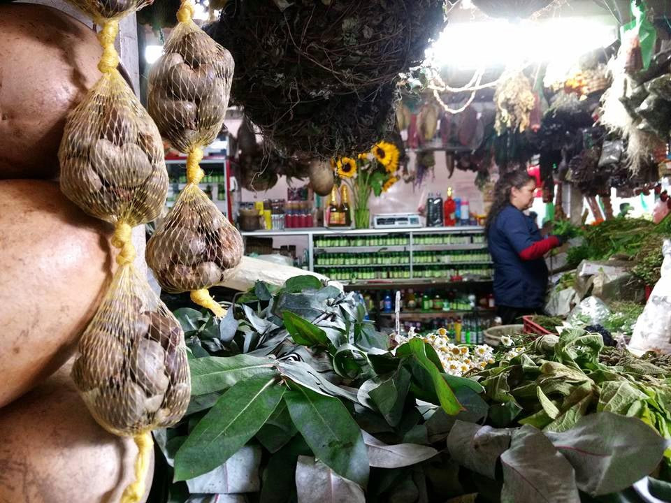 Chasing Plazas-波哥大必去景点