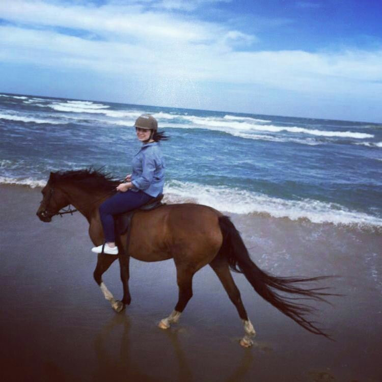 Selsdon Park Estate Beach Horse Rides景点图片