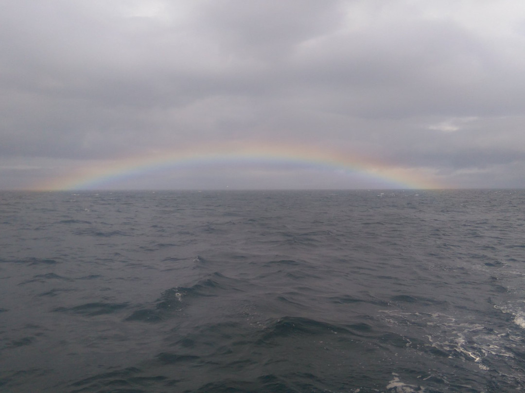 Sail Piraeus Adventures-Tlell必去景点