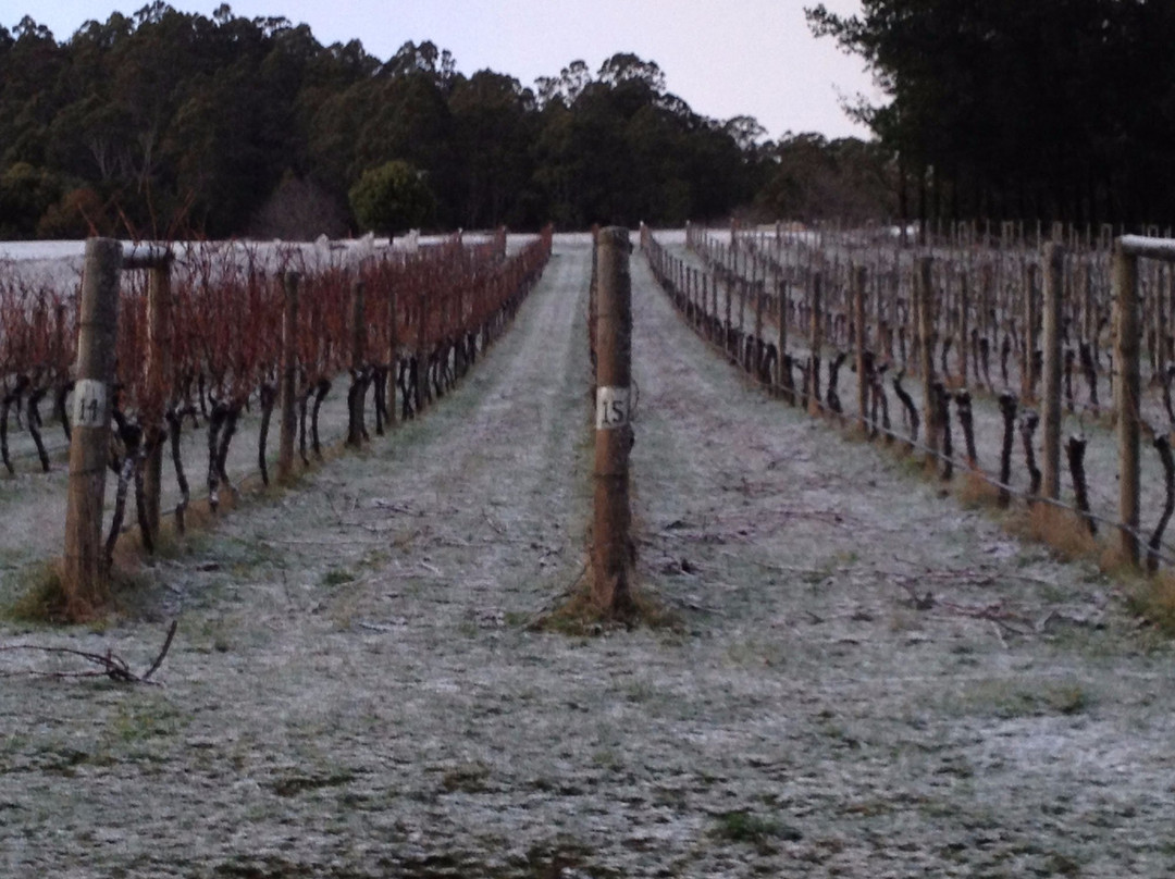 Leven Valley Vineyard-Gunns Plains必去景点