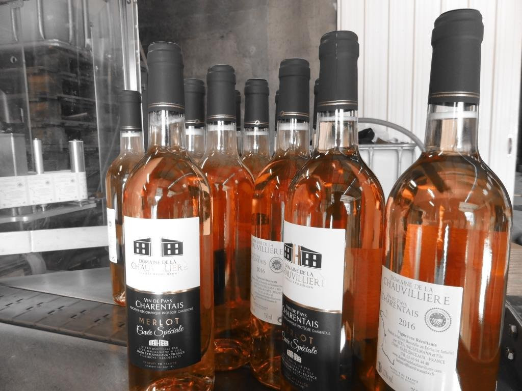 Domaine de la Chauvillière景点图片
