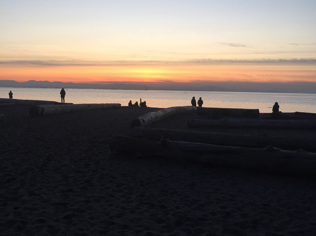 Foreshore Park-纽卡斯尔必去景点