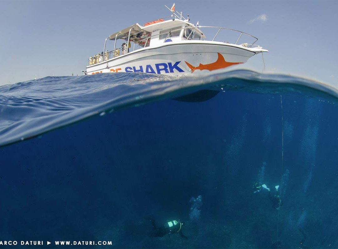 Orangeshark Diving Centre-梅雷赫必去景点