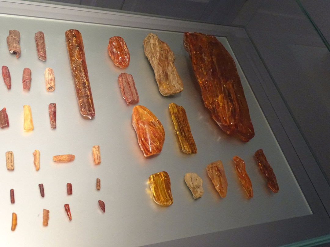 Deutsches Bernsteinmuseum景点图片