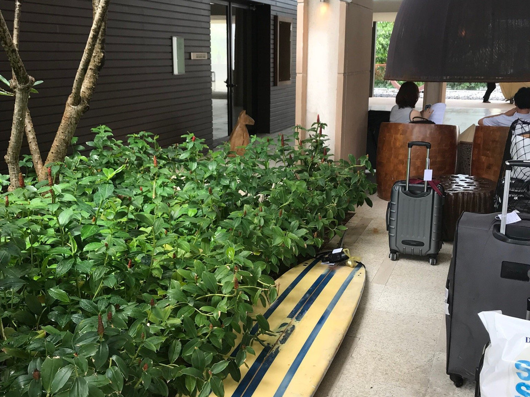 Gunnar and Thom's Surf Board Rental-岘港必去景点