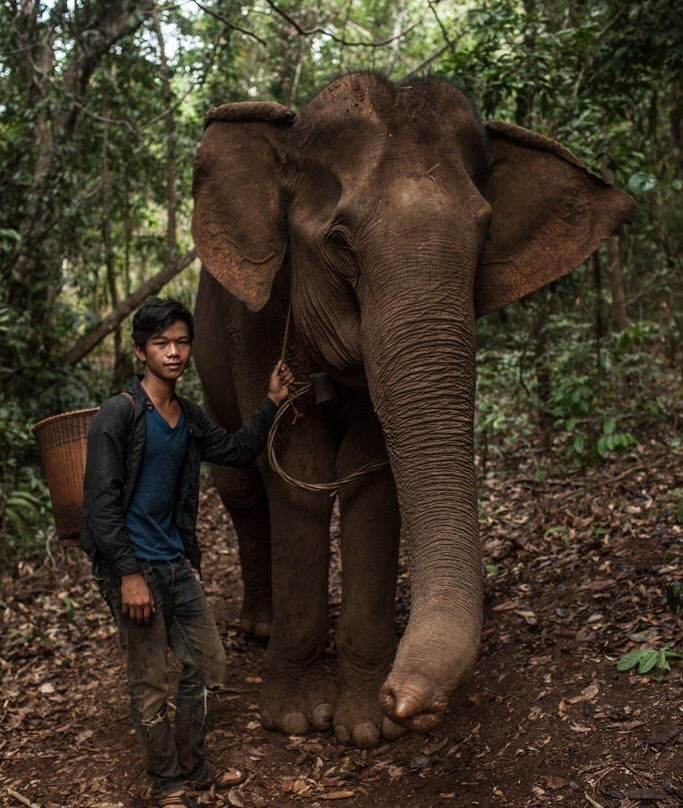 Mondulkiri Adventure Trekking景点图片
