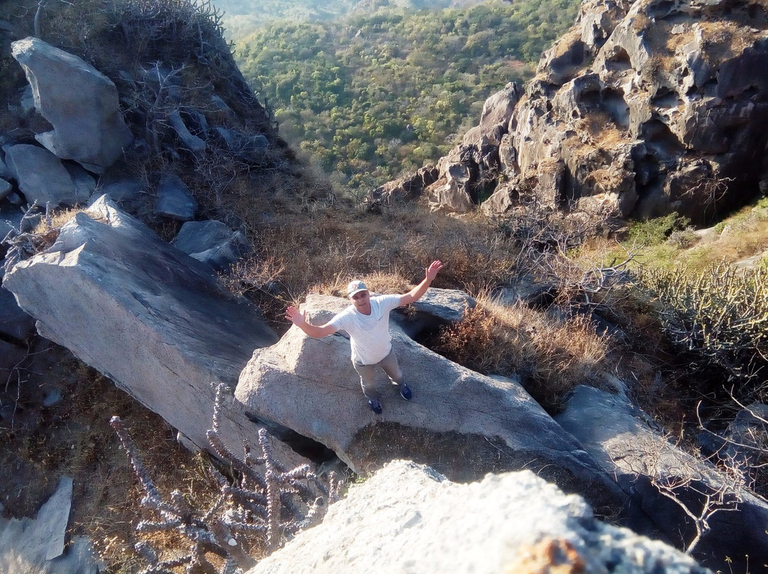 Eco Adventures景点图片